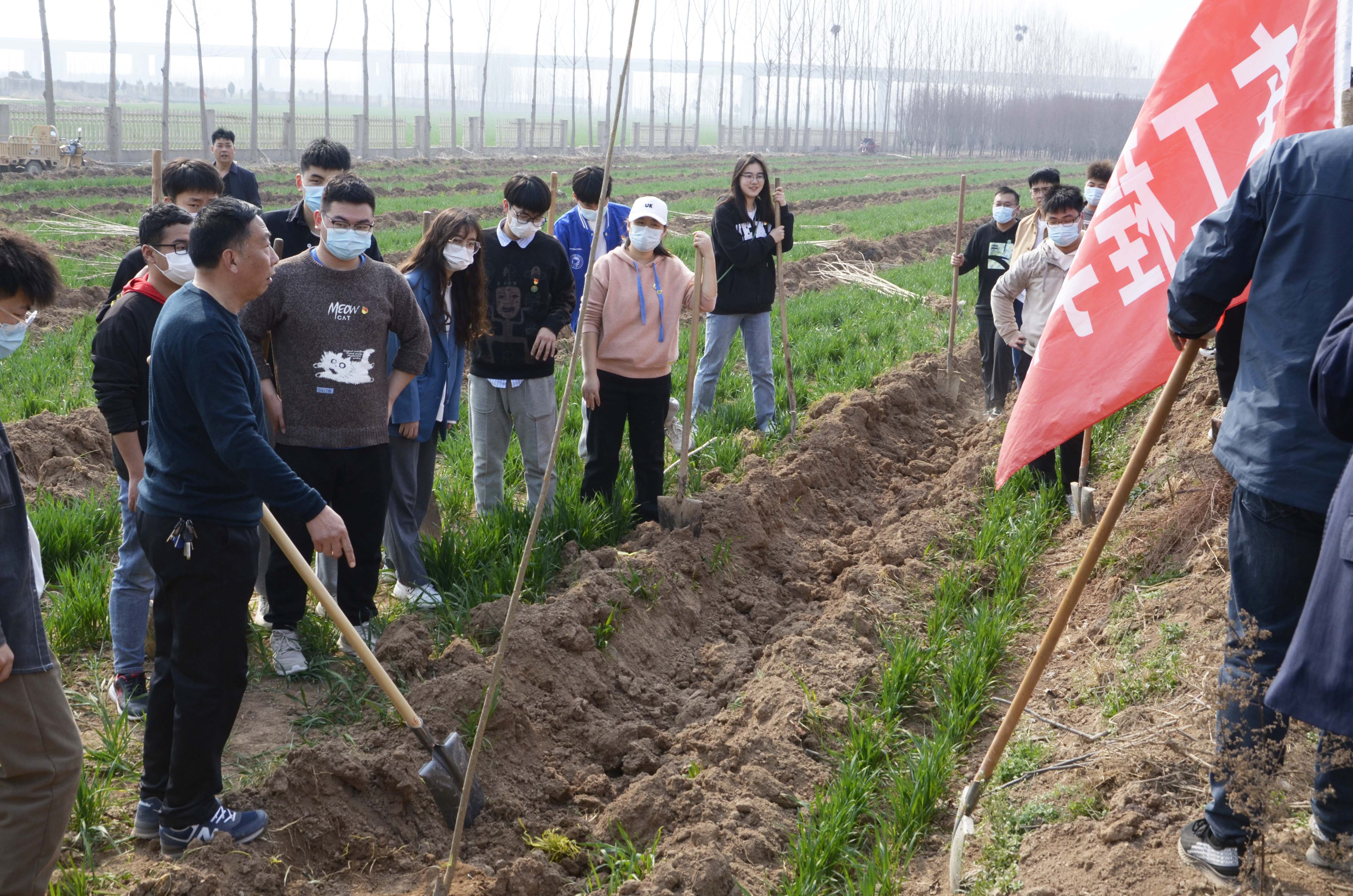 _DSC4992.JPG _DSC4992.JPG